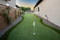 Hole in One! - Image 2